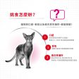 【Royal Canin】法國皇家貓乾糧 - 成貓口感豐富挑嘴配方 For Sale