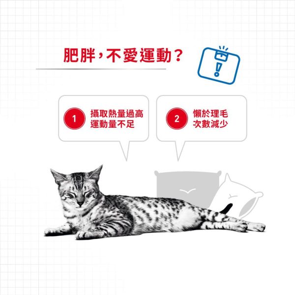 【Royal Canin】法國皇家貓乾糧 - 成貓體重控制加護配方 Sale