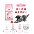 【Royal Canin】法國皇家貓乾糧 - 幼貓營養配方 Online Hot Sale