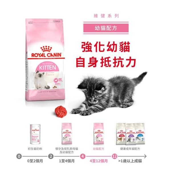 【Royal Canin】法國皇家貓乾糧 - 幼貓營養配方 Online Hot Sale