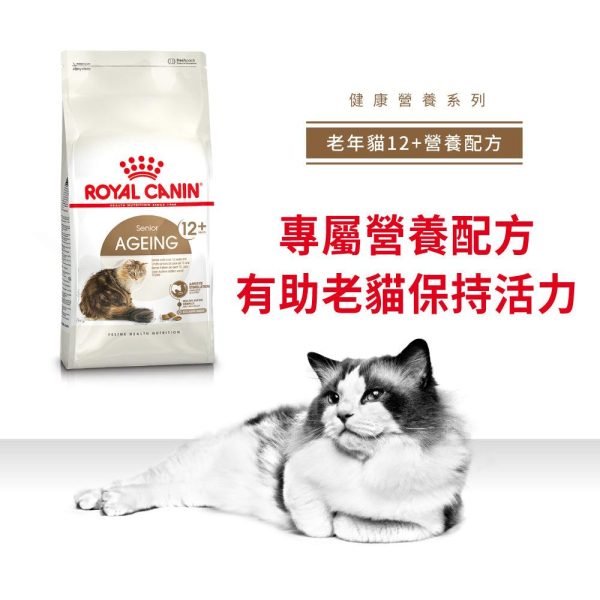 【Royal Canin】法國皇家貓乾糧 - 老年貓12+營養配方 Hot on Sale