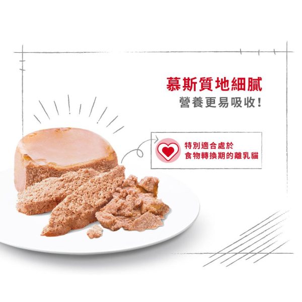 【Royal Canin】法國皇家貓糧 - 離乳貓及母貓營養主食罐頭195g Supply