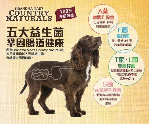 Country Naturals - 無穀物白鮭魚雞肉低糖 (增加飽足感，平穩血糖） Online