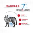 【Royal Canin】法國皇家貓乾糧 - 室內成貓營養配方 Online Sale