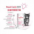 【Royal Canin】法國皇家貓糧 - 初生貓營養奶粉300克 Online Sale