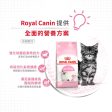 【Royal Canin】法國皇家貓乾糧 - 幼貓營養配方 Online Hot Sale