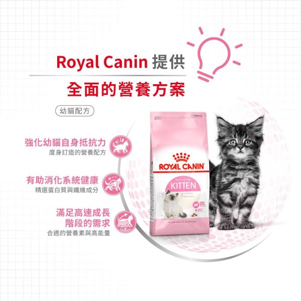 【Royal Canin】法國皇家貓乾糧 - 幼貓營養配方 Online Hot Sale