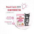 【Royal Canin】法國皇家貓糧 - 幼貓營養主食濕糧（肉汁、啫喱、肉塊）85g Online