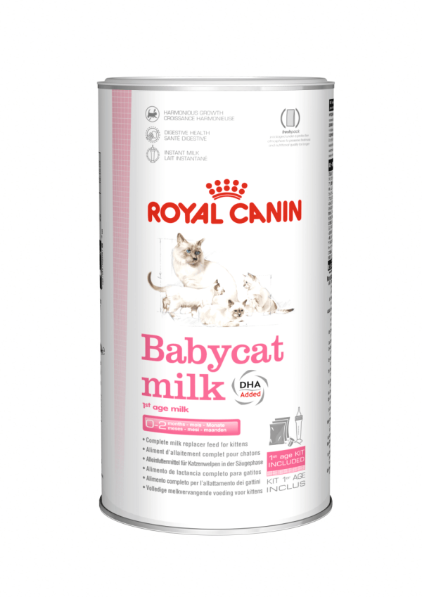 【Royal Canin】法國皇家貓糧 - 初生貓營養奶粉300克 Online Sale