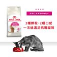 【Royal Canin】法國皇家貓乾糧 - 成貓口感豐富挑嘴配方 For Sale