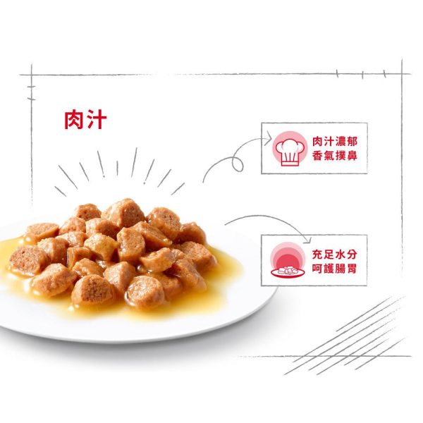 【Royal Canin】法國皇家貓糧 - 幼貓營養主食濕糧（肉汁、啫喱、肉塊）85g Online