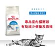 【Royal Canin】法國皇家貓乾糧 - 室內成貓營養配方 Online Sale