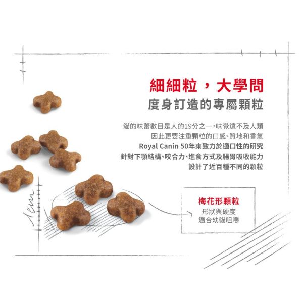 【Royal Canin】法國皇家貓乾糧 - 幼貓營養配方 Online Hot Sale