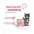 【Royal Canin】法國皇家貓糧 - 離乳貓及母貓營養主食罐頭195g Supply