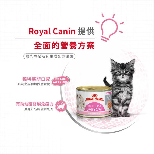 【Royal Canin】法國皇家貓糧 - 離乳貓及母貓營養主食罐頭195g Supply