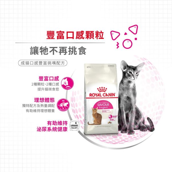 【Royal Canin】法國皇家貓乾糧 - 成貓口感豐富挑嘴配方 For Sale