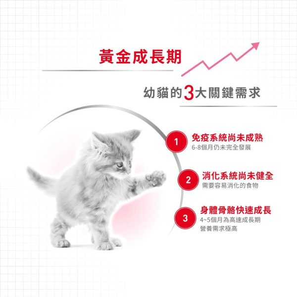 【Royal Canin】法國皇家貓乾糧 - 幼貓營養配方 Online Hot Sale