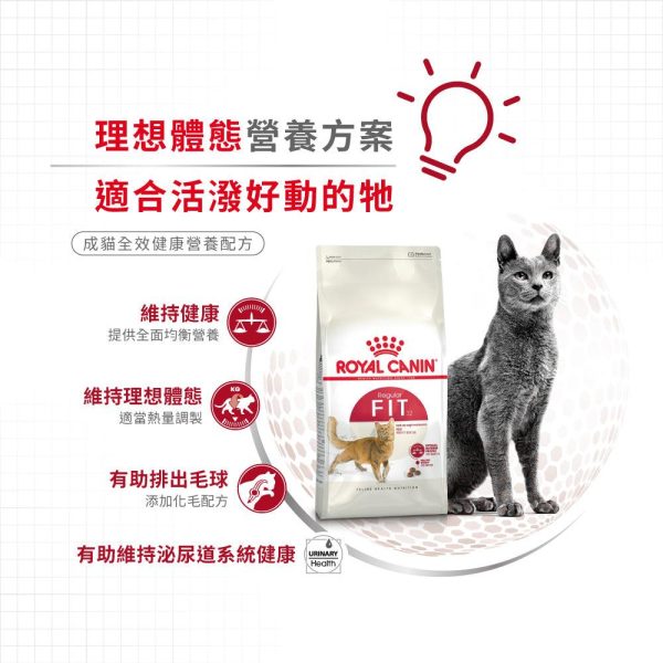 【Royal Canin】法國皇家貓乾糧 - 成貓全效健康營養配方 on Sale