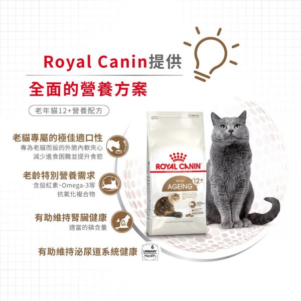 【Royal Canin】法國皇家貓乾糧 - 老年貓12+營養配方 Hot on Sale