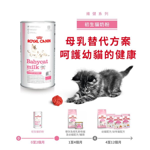 【Royal Canin】法國皇家貓糧 - 初生貓營養奶粉300克 Online Sale