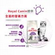 【Royal Canin】法國皇家貓乾糧 - 成貓敏感腸胃營養配方 Hot on Sale