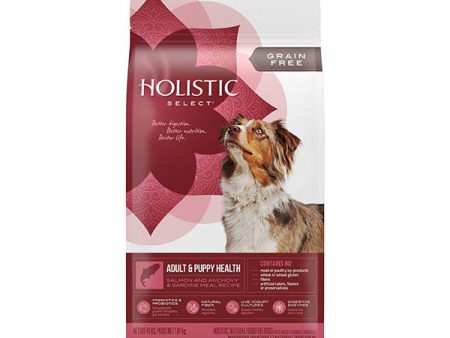 【Holistic select】無穀物四種魚全犬配方 - 天然狗乾糧 Online