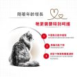 【Royal Canin】法國皇家貓乾糧 - 老年貓12+營養配方 Hot on Sale