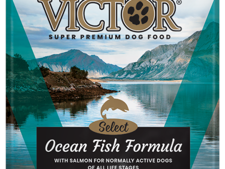 Victor Ocean Fish Formula with Salmon Discount