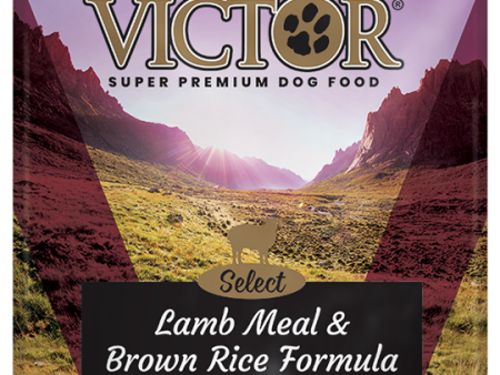 Victor Lamb Meal & Brown Rice Formula For Sale