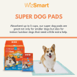 WizSmart Super All Day Dry Premium Dog Pads For Sale